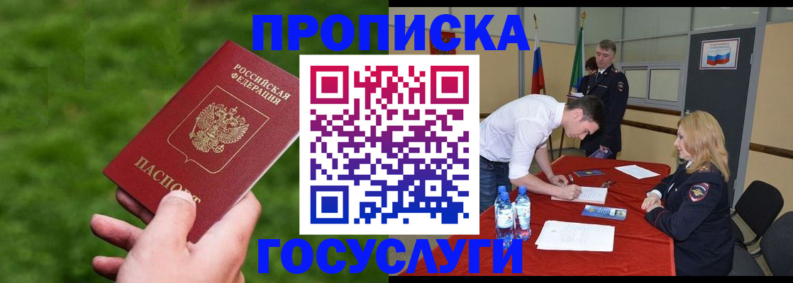 где прописаться в Новгородской области